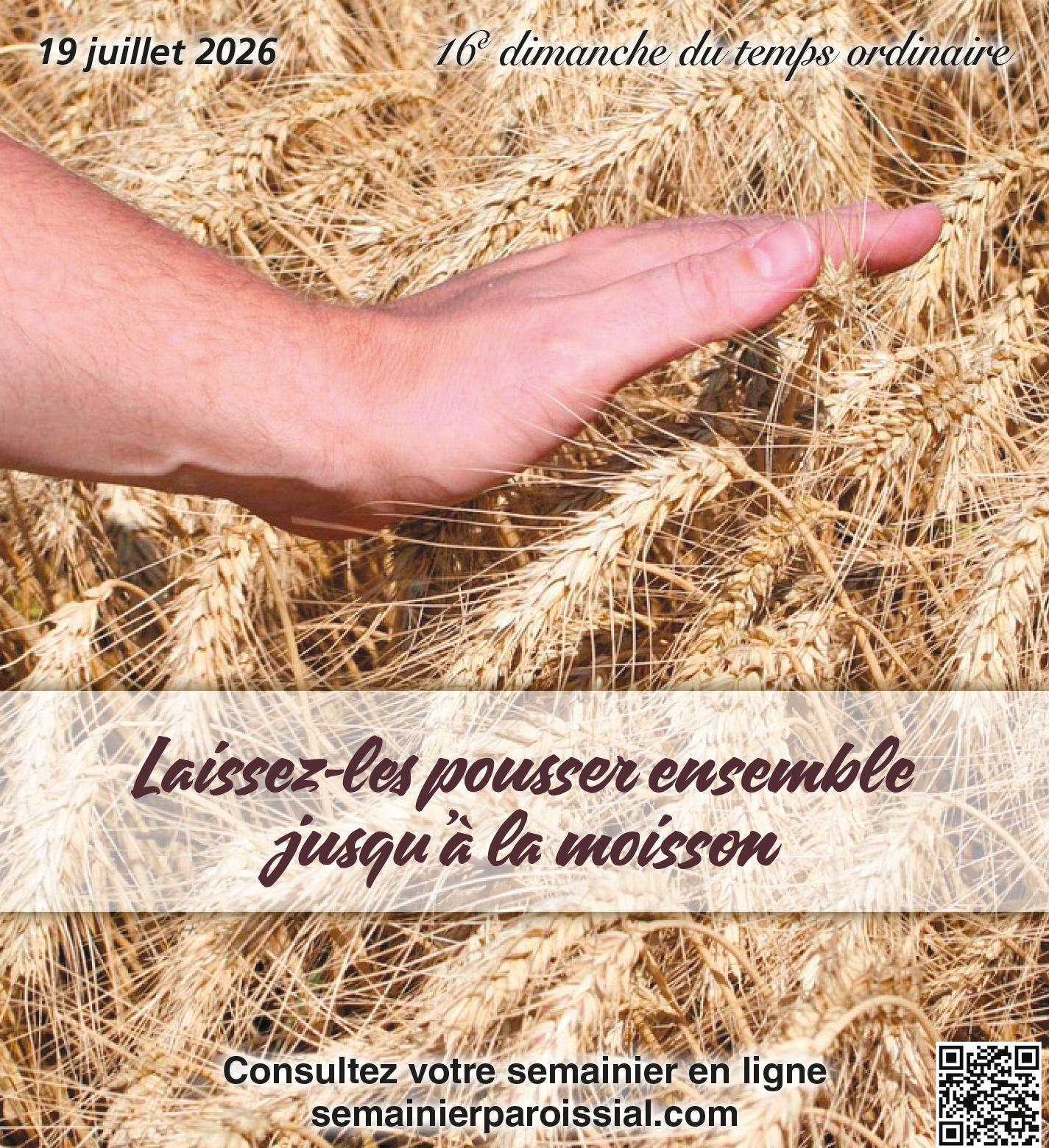 Image de la semaine